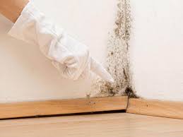 Best Mold Odor Removal Services  in Americus, GA